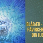 Blåbær - hvordan påvirker blåbær din hjernen