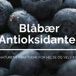 blåbær antioksidanter